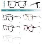 Acetate plastic frames for glasses with spring hinges Big City F3011