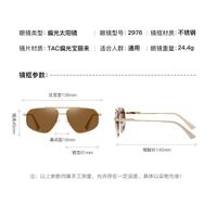 Polarized metal sunglasses with UV400 protection 2976-GT