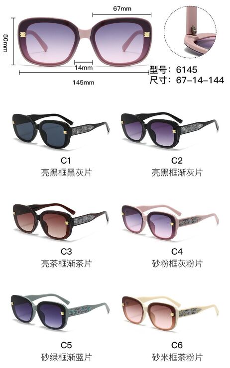 PC plastic sunglasses with metal hinge 6145W