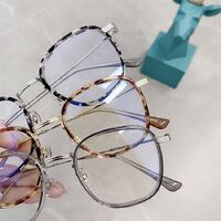 Оправа гибридная, металл + TR90 SANTA 01001