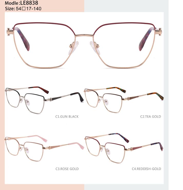 Оправа металлическая с флексом LE8838-DA