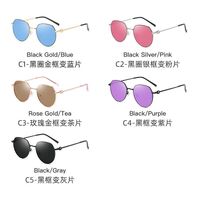 Photochromic glasses with blue light and UV protection 9652-2-GT