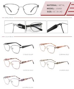 Metal frame with spring hinges LE6489-DA