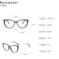 TR90 plastic frame or glasses with blue light protection, with spring hinges FA87163
