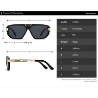 Plastic sunglasses for men Elit LH120-EL