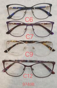 Metal frame for glasses with spring hinges 9743B