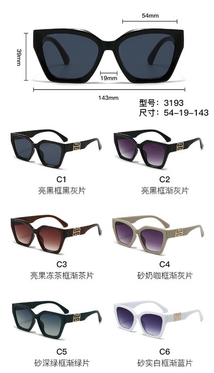 PC plastic sunglasses with plastic hinge 3193W
