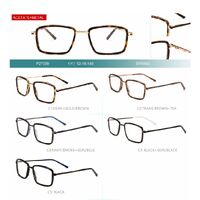 Оправа комбинированная, ацетат + металл Big City, с флексом P27309