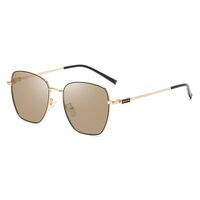 Photochromic glasses with blue light and UV protection 9656-GT