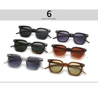 Plastic sunglasses with anti-blue light protection Elit 6016-EL