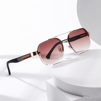 Plastic + metal retro sunglasses Elit ZTT031-EL