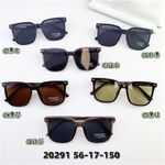 TR90 plastic polarized sunglasses SANTA 20291S