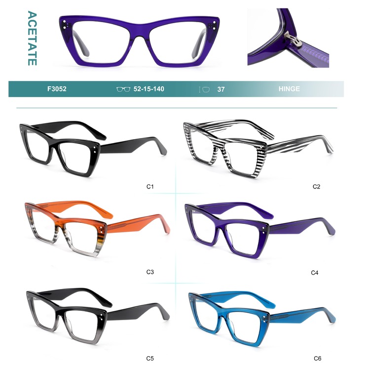 Acetate plastic frames for glasses Big City F3052