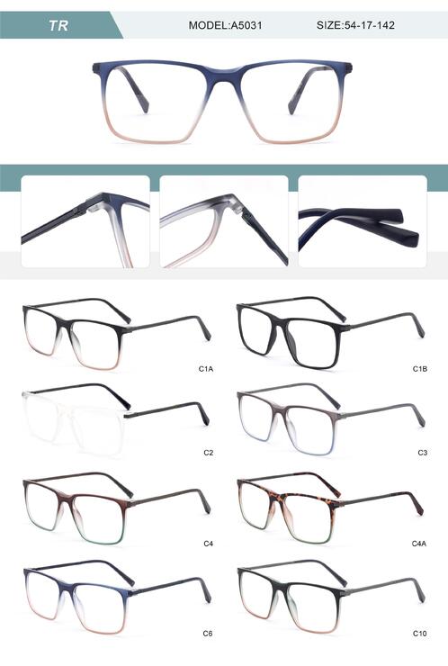 Plastic TR90 frame for men with spring hinges A5031-DA