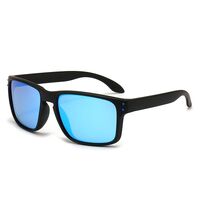 Polarized plastic TR90 sunglasses with UV400 protection 2973-GT
