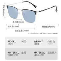 Photochromic glasses with blue light and UV protection 9669-GT