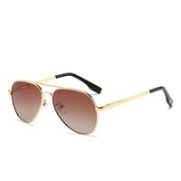 Polarized metal sunglasses with UV400 protection 3025L-2-GT