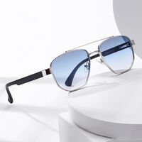Plastic + metal retro sunglasses Elit ZTT030-EL