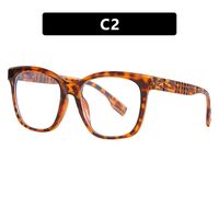 Очки пластиковые женские с защитой от синего света 5592-PN