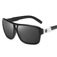 Polarized plastic sunglasses with UV400 protection D008-GT