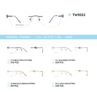 Titanium metal rimless frame TW3022
