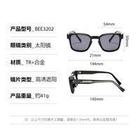 Plastic + metal square sunglasses for men Elit 3202-EL