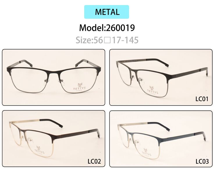 Metal eyeglasses frame for men with spring hinges 260019 (item in stock)