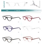 Acetate plastic frames for glasses with spring hinges Big City F3038