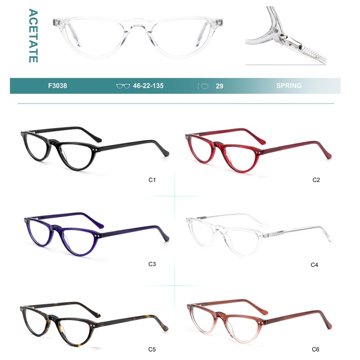 Acetate plastic frames for glasses with spring hinges Big City F3038