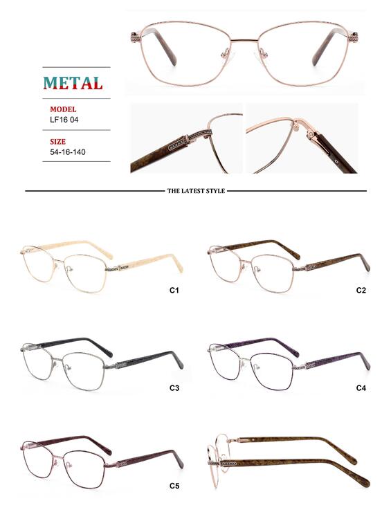 Metal frames for glasses with spring hinges Big City LF1604