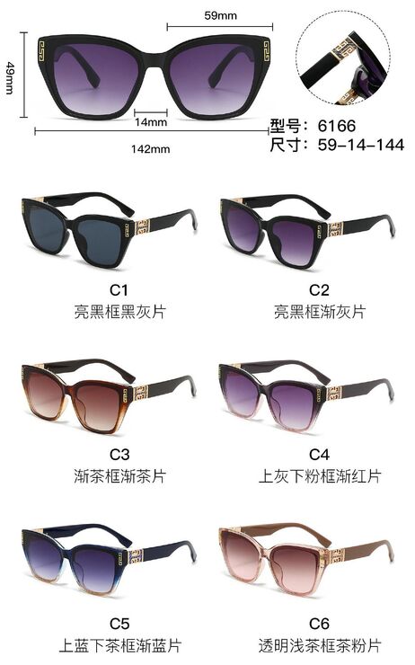 PC plastic sunglasses with metal hinge 6166W