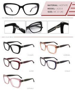 Plastic acetate frame with spring hinges LE2019-DA