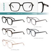 Acetate plastic frames for glasses with spring hinges Big City F3026