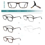 Acetate plastic frames for glasses with spring hinges Big City F3043