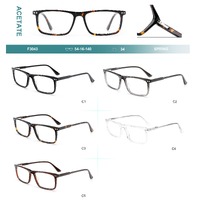 Acetate plastic frames for glasses with spring hinges Big City F3043