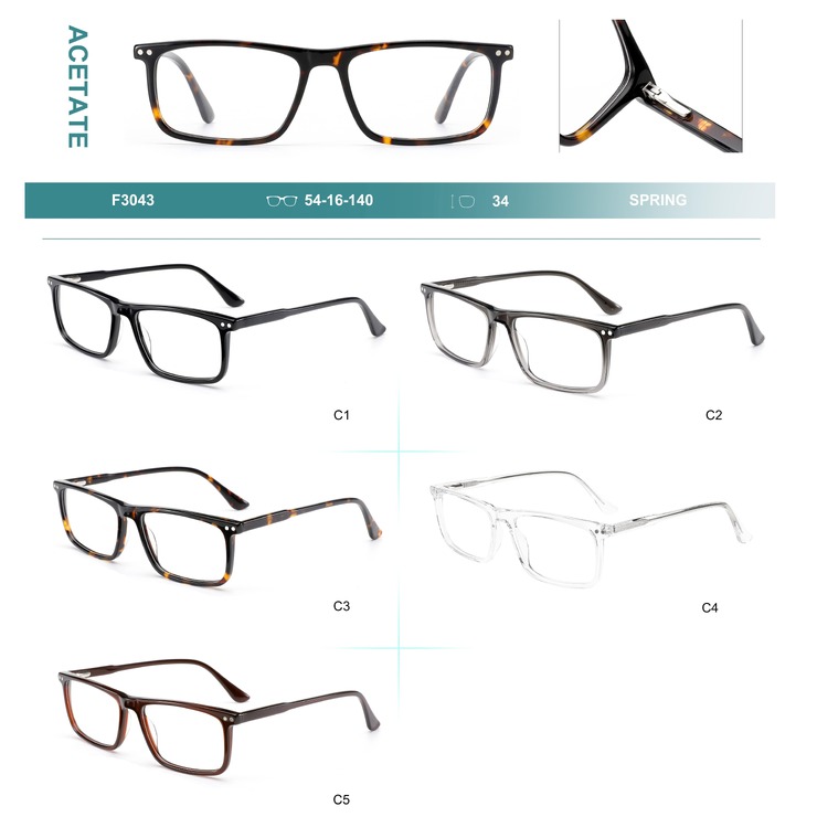 Acetate plastic frames for glasses with spring hinges Big City F3043