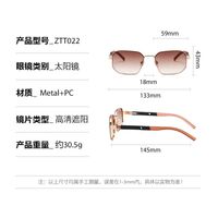 Plastic + metal retro sunglasses Elit ZTT022-EL