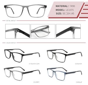 Plastic TR90 frame with spring hinges LE1075-DA