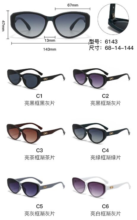 PC plastic sunglasses with metal hinge 6143W