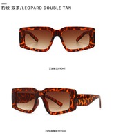 Sunglasses Elit modern model 2237