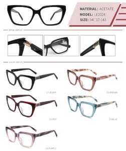 Plastic acetate frame with spring hinges LE2024-DA