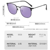 Photochromic glasses with blue light and UV protection 9658-GT