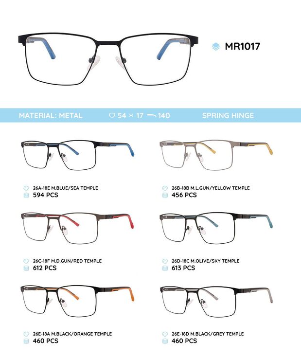 Металлическая оправа с дужками из материала TR-90 со встроенным флексом MR1017