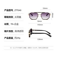 Plastic + metal retro sunglasses Elit ZTT040-EL