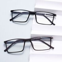 Оправа комбинированная, TR90+металл, с линзами с защитой от синего света Elit TR1610-EL