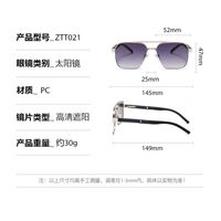 Plastic + metal retro sunglasses Elit ZTT021-EL