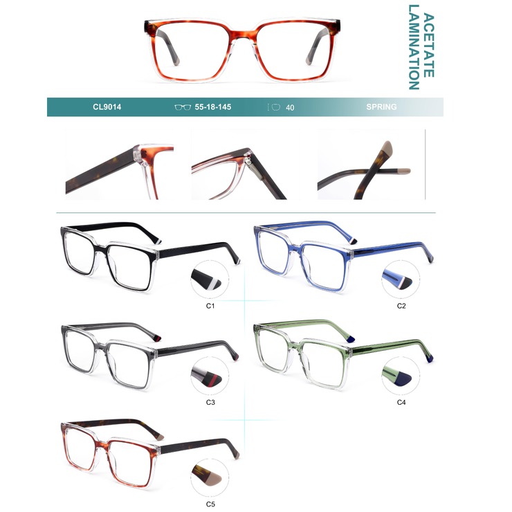 Plastic frames for glasses, acetate lamination with spring hinges Big City CL9014