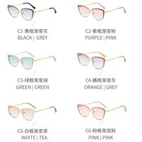 Metal sunglasses with UV400 protection 9710-2-GT