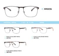 Металлическая оправа с дужками из материала TR-90 MR0036