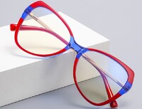 Plastic frames for glasses TR90+CA material (flex hinges) FOCUS FCS2123